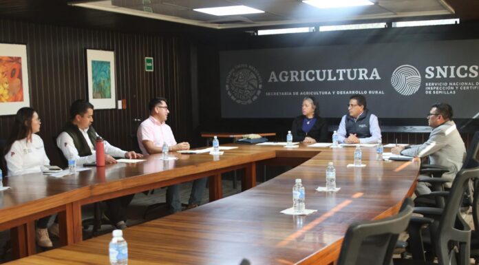 REGISTRA GOBIERNO DEL ESTADO DE MÉXICO DOS NUEVAS VARIEDADES DE ROSAS MEXIQUENSES: NITÁ Y MAYA