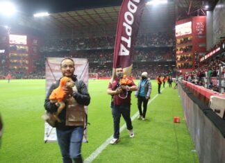 SALEN AL TERRENO DE JUEGO CINCO PERRITOS Y GANAN UN HOGAR GRACIAS A “LA MEJOR JUGADA ES ADOPTAR” IMPULSADA POR LA GOBERNADORA DELFINA GÓMEZ ÁLVAREZ