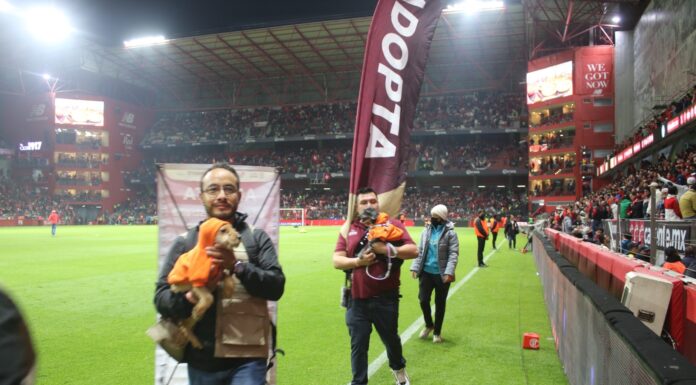 SALEN AL TERRENO DE JUEGO CINCO PERRITOS Y GANAN UN HOGAR GRACIAS A “LA MEJOR JUGADA ES ADOPTAR” IMPULSADA POR LA GOBERNADORA DELFINA GÓMEZ ÁLVAREZ