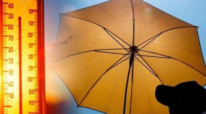 A GUARDAR CHAMARRAS EN EL VALLE DE TOLUCA