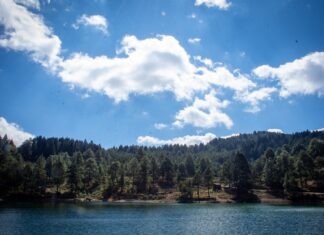 LANZAN SECAMPO Y PROBOSQUE PROGRAMAS DE ASESORÍA, RESTAURACIÓN Y MANEJO SOSTENIBLE DE ZONAS FORESTALES DEL ESTADO DE MÉXICO