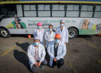 ESTERILIZAR A LAS MASCOTAS MEJORA SU CALIDAD DE VIDA