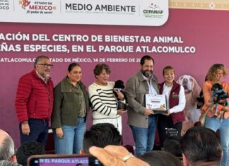 APLAUDE GOBERNADORA GESTO DEL DIPUTADO PACO VÁZQUEZ POR ADOPTAR A “CHALQUITO”