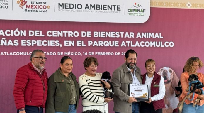 APLAUDE GOBERNADORA GESTO DEL DIPUTADO PACO VÁZQUEZ POR ADOPTAR A “CHALQUITO”