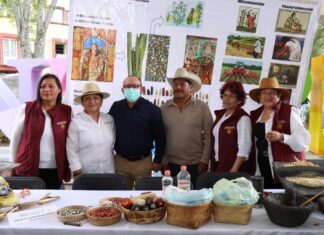 ENARBOLAN LA ACTIVIDAD AGRICOLA Y ARTESANAL EN ZINACANTEPEC