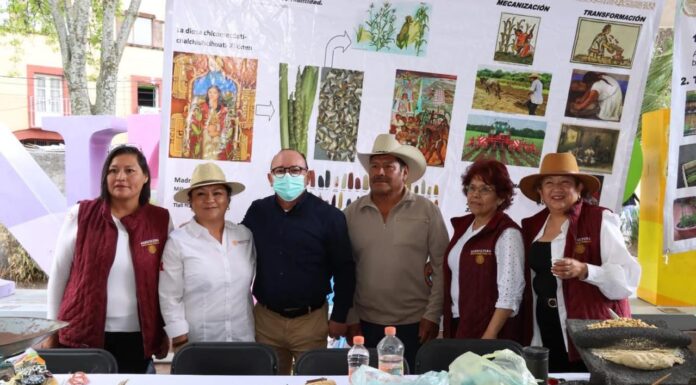 ENARBOLAN LA ACTIVIDAD AGRICOLA Y ARTESANAL EN ZINACANTEPEC