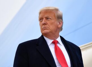 TRUMP NO PUEDE ROMPER ESCUDO DE SEGURIDAD NACIONAL DE MÉXICO