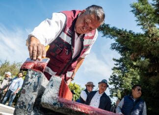 Toluqueños y gobierno transforman espacios públicos en lugares seguros y limpios