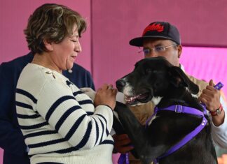¡Este fin de semana diviértete con tus mascotas! Visita parques y deportivos construidos por la Gobernadora Delfina Gómez Álvarez, son “Pet friendly”