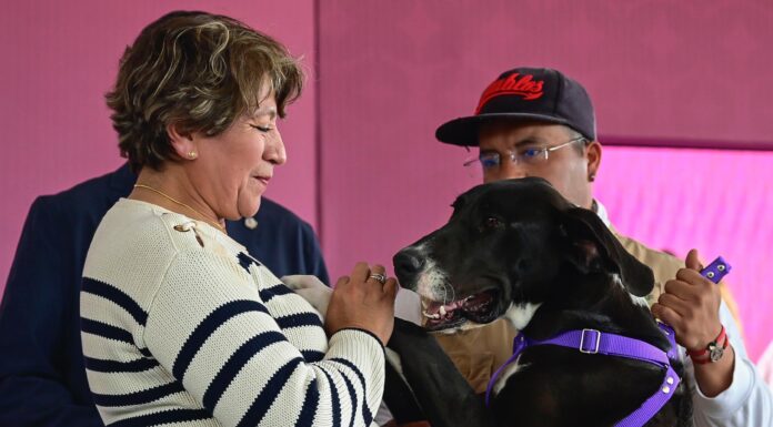 ¡Este fin de semana diviértete con tus mascotas! Visita parques y deportivos construidos por la Gobernadora Delfina Gómez Álvarez, son “Pet friendly”