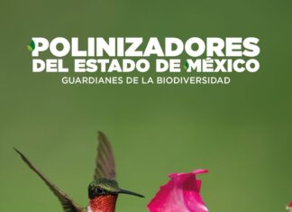 LANZA GOBIERNO DEL EDOMÉX “AVENTURAS VERDES PARA GRANDES LECTORES”, UNA COLECCIÓN DE CUADERNILLOS DE EDUCACIÓN AMBIENTAL
