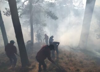 Combaten incendio forestal en las faldas del Xinantécatl