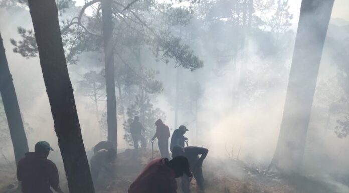 Combaten incendio forestal en las faldas del Xinantécatl