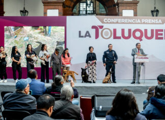 ADOPTAR ANTES DE COMPRAR PARA BENEFICIAR A LA POBLACIÓN CALLEJERA DE PERROS Y GATOS: RICARDO MORENO