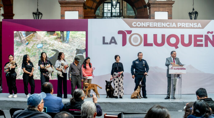 ADOPTAR ANTES DE COMPRAR PARA BENEFICIAR A LA POBLACIÓN CALLEJERA DE PERROS Y GATOS: RICARDO MORENO