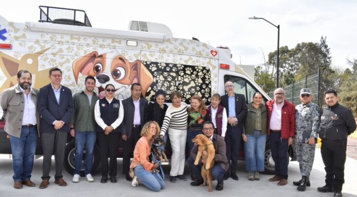 EXITOSO PROGRAMA DE ADOPCIÓN DE MASCOTAS PERMITE A 270 LOMITOS Y MICHIS ENCONTRAR UN HOGAR EN EL EDOMÉX