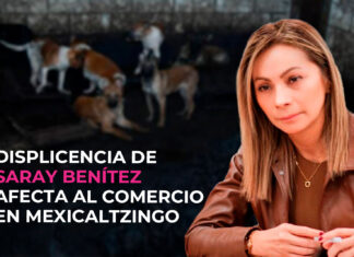 DISPLICENCIA DE SARAY BENÍTEZ AFECTA AL COMERCIO EN MEXICALTZINGO