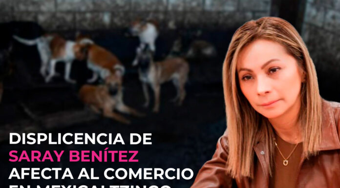 DISPLICENCIA DE SARAY BENÍTEZ AFECTA AL COMERCIO EN MEXICALTZINGO