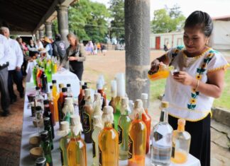 COMITÉ DE ARTESANOS PRESENTA PROPUESTA DE TURISMO SOSTENIBLE Y DESARROLLO ARTESANAL EN CABILDO ABIERTO