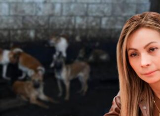 PAL PERRO LA AUTORIDAD EN MEXICALTZINGO