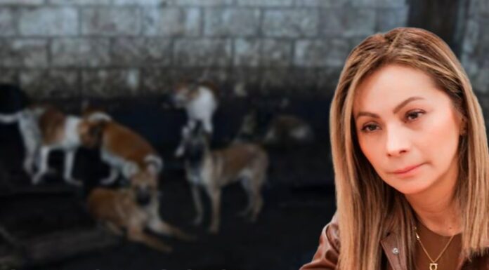 PAL PERRO LA AUTORIDAD EN MEXICALTZINGO