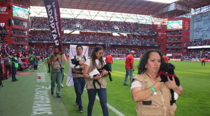 ¡HORTENSIA Y SUS HIJOS ANOTAN UN GOLAZO POR LA ADOPCIÓN RESPONSABLE DE MASCOTAS! SE SUMAN A “LA MEJOR JUGADA ES ADOPTAR” INICIATIVA PROMOVIDA POR EL GOBIERNO DEL EDOMÉX