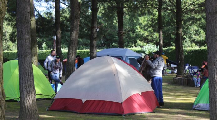 ¡ÚLTIMOS LUGARES! ¡NO TE PIERDAS EL CAMPAMENTO FAMILIAR POR UN PLANETA VERDE EN EL PARQUE ECOLÓGICO ZACANGO!