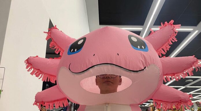 LÁNZATE AL EDOMÉX ESTE FIN DE SEMANA: TACOS, MEZCAL, CARNAVALES Y ACTIVIDADES DEPORTIVAS TE ESPERAN