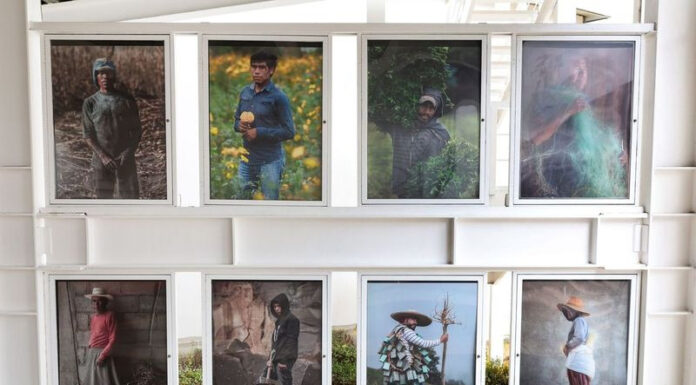 ¡VAMOS AL MULF! ROSTROS EN EL UNIVERSO DE HEFESTO, PROPUESTA ARTÍSTICA QUE MIRA A LOS OFICIOS ANCESTRALES DE MÉXICO