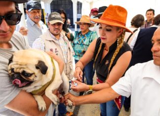 ARRANCA EN TEXCOCO LA JORNADA ESTATAL DE VACUNACIÓN ANTIRRÁBICA CANINA Y FELINA 2025
