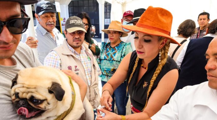 ARRANCA EN TEXCOCO LA JORNADA ESTATAL DE VACUNACIÓN ANTIRRÁBICA CANINA Y FELINA 2025