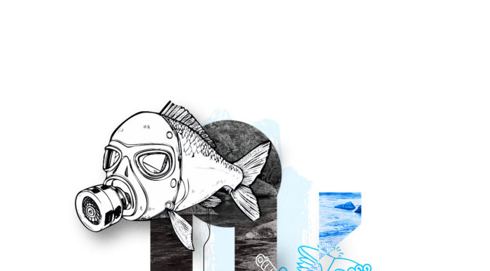 Expertos advierten de nuevos retos para el abastecimiento y la calidad del agua