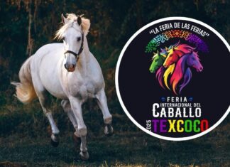 El alcalde de Texcoco Nazario Gutiérrez Martínez, hizo la presentación oficial del Festival Internacional del Caballo 2025