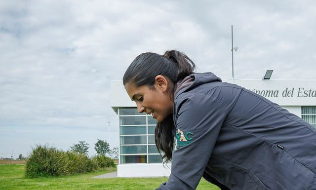 ANTE LA PÉRDIDA DE UNA MASCOTA SE DEBE ACOMPAÑAR EL DUELO DESDE LA EMPATÍA