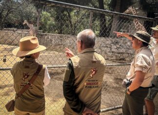 ESPECIALISTAS DEL EDOMÉX Y DE GUADALAJARA INTERCAMBIAN EXPERIENCIAS EN MATERIA DE BIENESTAR ANIMAL