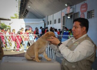 ¡GOLEADA POR EL BIENESTAR ANIMAL! EN EL EDOMÉX 64 LOMITOS Y MICHIS HAN ENCONTRADO UN HOGAR CON “LA MEJOR JUGADA ES ADOPTAR”