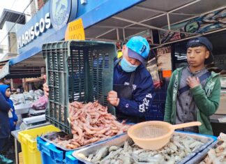 REFUERZA ISEM VIGILANCIA DE PRODUCTOS PESQUEROS Y EMITE RECOMENDACIONES SANITARIAS POR TEMPORADA DE CUARESMA