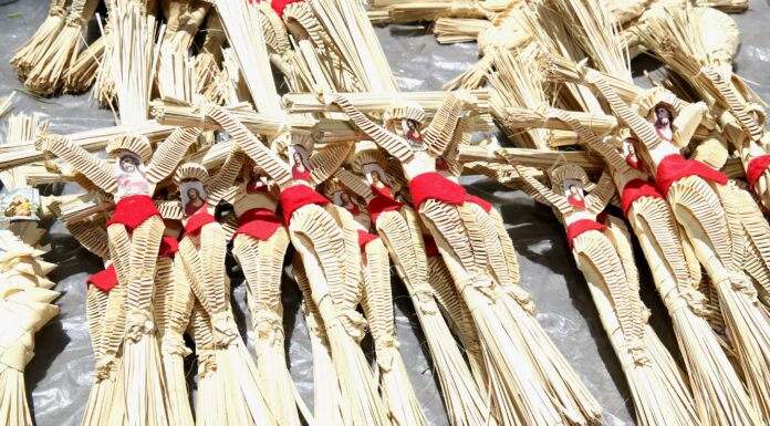 Preservan manos artesanas tradición milenaria del tejido de palma