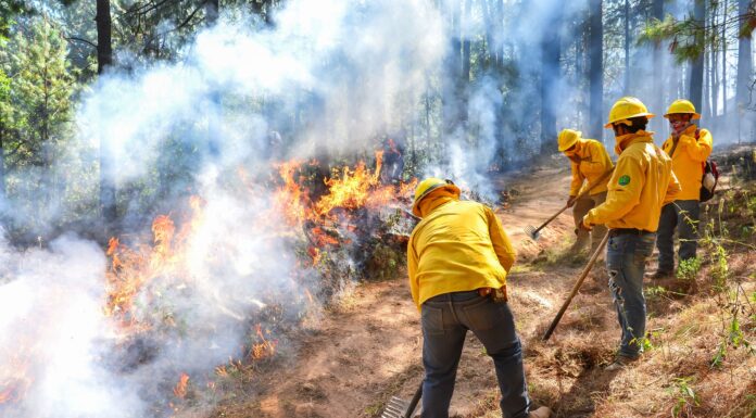 Estado de México castigará hasta con 10 años de cárcel a quien provoque incendios forestales