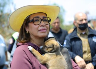 Ecatepec se declara en alerta máxima por lluvias; limpian barrancas y rescatan cachorros