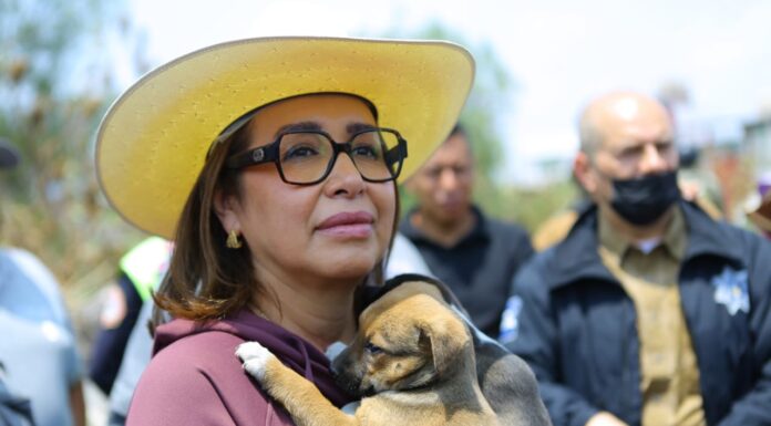 Ecatepec se declara en alerta máxima por lluvias; limpian barrancas y rescatan cachorros