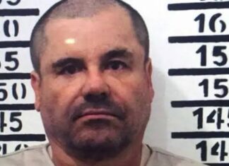 ‘El Chapo’ Guzmán: Posible colaboración con EE.UU. y movimientos familiares generan tensión binacional