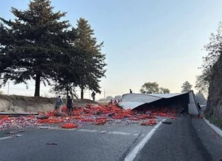 Vuelca tráiler de Bimbo en la Toluca-Atlacomulco y desata escena de rapiña