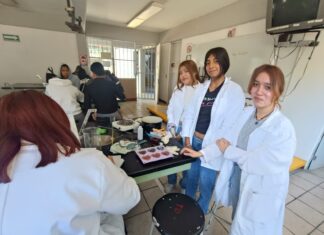 Invierten más de 853 millones de pesos para construir 17 nuevos bachilleratos tecnológicos en 11 estados