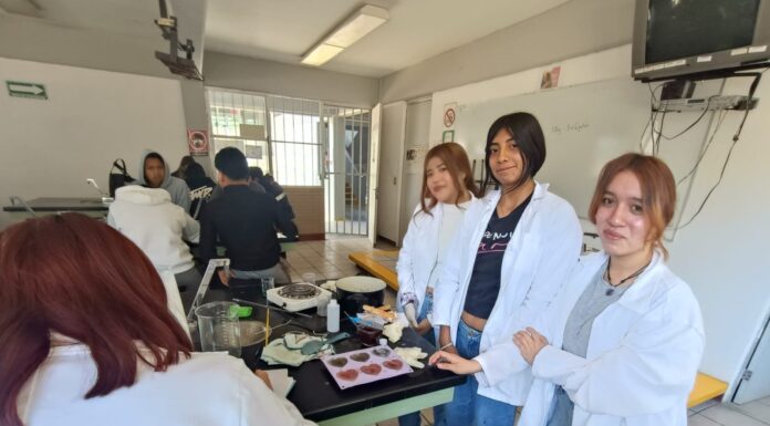 Invierten más de 853 millones de pesos para construir 17 nuevos bachilleratos tecnológicos en 11 estados