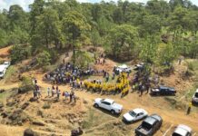 Impulsa Probosque restauración forestal para fortalecer la recarga hídrica en la Cuenca del Río Balsas