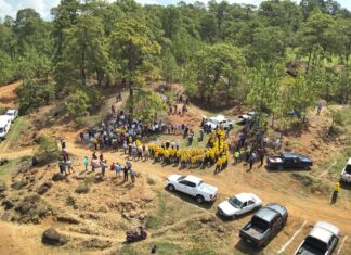 Impulsa Probosque restauración forestal para fortalecer la recarga hídrica en la Cuenca del Río Balsas