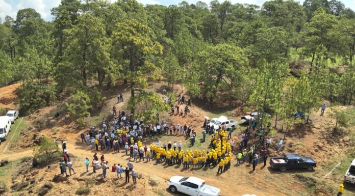 Impulsa Probosque restauración forestal para fortalecer la recarga hídrica en la Cuenca del Río Balsas