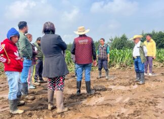 Activa Delfina Gómez seguro agroclimático en Santiago Tianguistenco; apoyos serán de hasta 12 mil pesos por productor