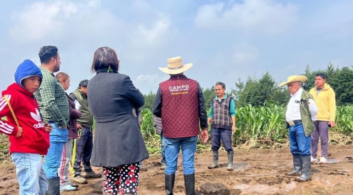 Activa Delfina Gómez seguro agroclimático en Santiago Tianguistenco; apoyos serán de hasta 12 mil pesos por productor